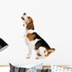 Dog Studio Wall Decal