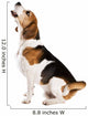 Dog Studio Wall Decal