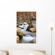 Mountain River Wall Mural