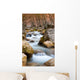 Mountain River Wall Mural