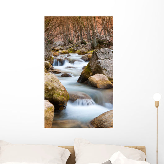 Mountain River Wall Mural