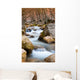 Mountain River Wall Mural