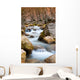 Mountain River Wall Mural