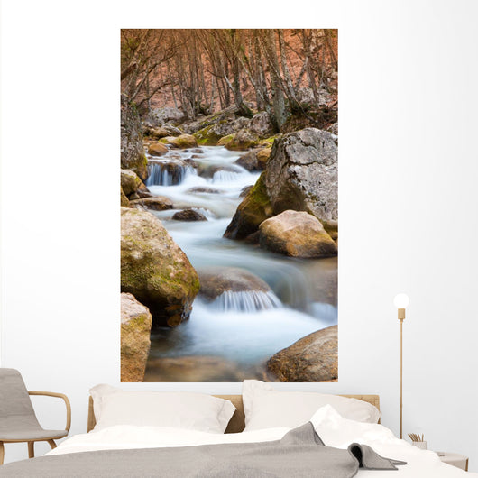 Mountain River Wall Mural