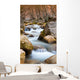 Mountain River Wall Mural