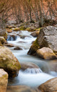 Mountain River Wall Mural