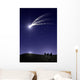 Kings Wall Mural