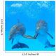 Two Dolphins Water