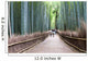 Bamboo Forest Kyoto Japan