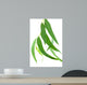 Feuilles Deucalyptus