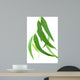 Feuilles Deucalyptus