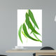 Feuilles Deucalyptus