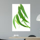 Feuilles Deucalyptus