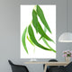 Feuilles Deucalyptus