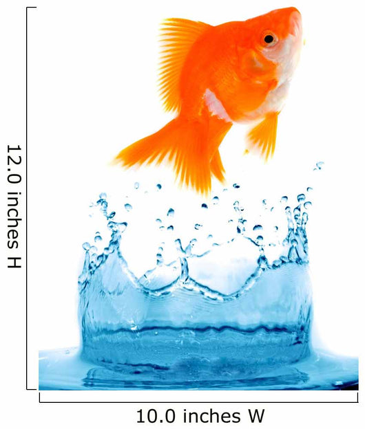 Goldfish is jumping Wall Mural