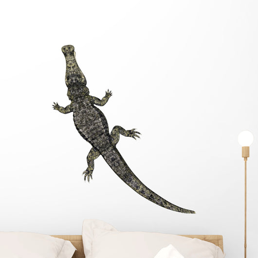 Krokodil Von Oben