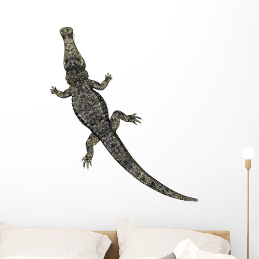 Krokodil Von Oben