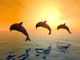 Jumping Dolphins Wall Mural