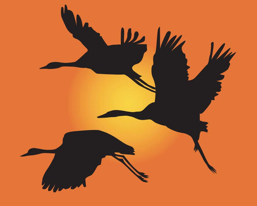 Flying Crane