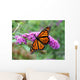 Monarch Butterfly Wall Mural
