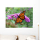 Monarch Butterfly Wall Mural