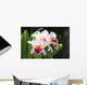 White cattleya orchid flower Wall Mural