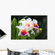 White cattleya orchid flower Wall Mural