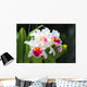 White cattleya orchid flower Wall Mural