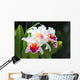 White cattleya orchid flower Wall Mural