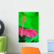 Hibiscus flower detail Wall Mural