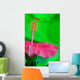 Hibiscus flower detail Wall Mural