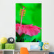 Hibiscus flower detail Wall Mural
