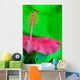 Hibiscus flower detail Wall Mural