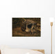 Close-up Fossilized Skull Homo Wall Mural