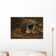 Close-up Fossilized Skull Homo Wall Mural