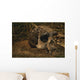 Close-up Fossilized Skull Homo Wall Mural