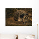 Close-up Fossilized Skull Homo Wall Mural