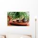 chinese tea ceremony Wall Mural