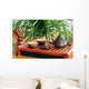 chinese tea ceremony Wall Mural
