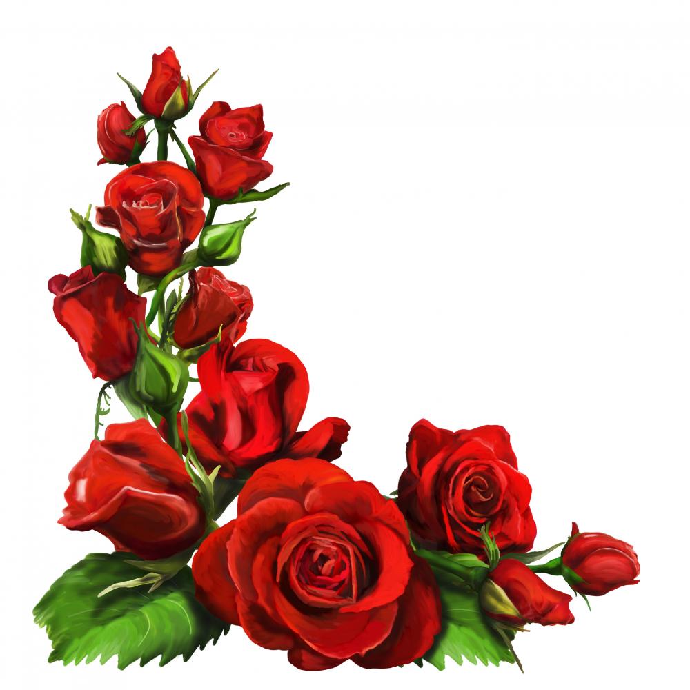 Red Roses Corner Border