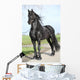 Gorgeous Friesian Stallion with Wall Mural