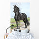Gorgeous Friesian Stallion with Wall Mural