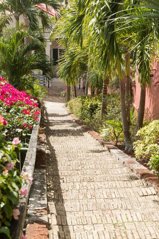 Famous 99 steps Charlotte Amalie Wall Mural