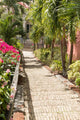 Famous 99 steps Charlotte Amalie Wall Mural