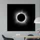 Solar Eclipse