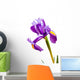 Deep Purple Iris Wall Decal