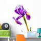 Deep Purple Iris Wall Decal