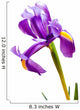 Deep Purple Iris Wall Decal