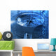 Navigation Wall Mural