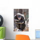 monkey laughing and grinning at crowds at the zoo Wall Mural